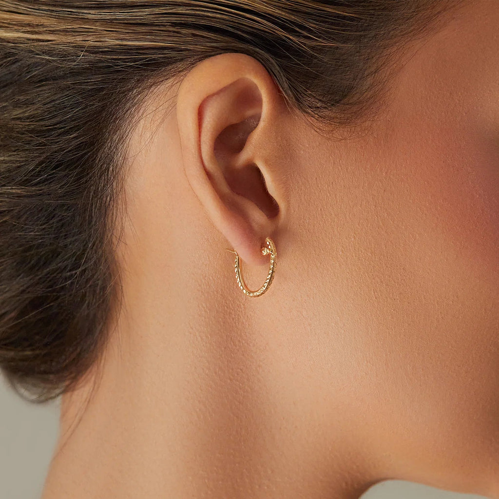 Glimmer Oval Hoop Earrings - My Store