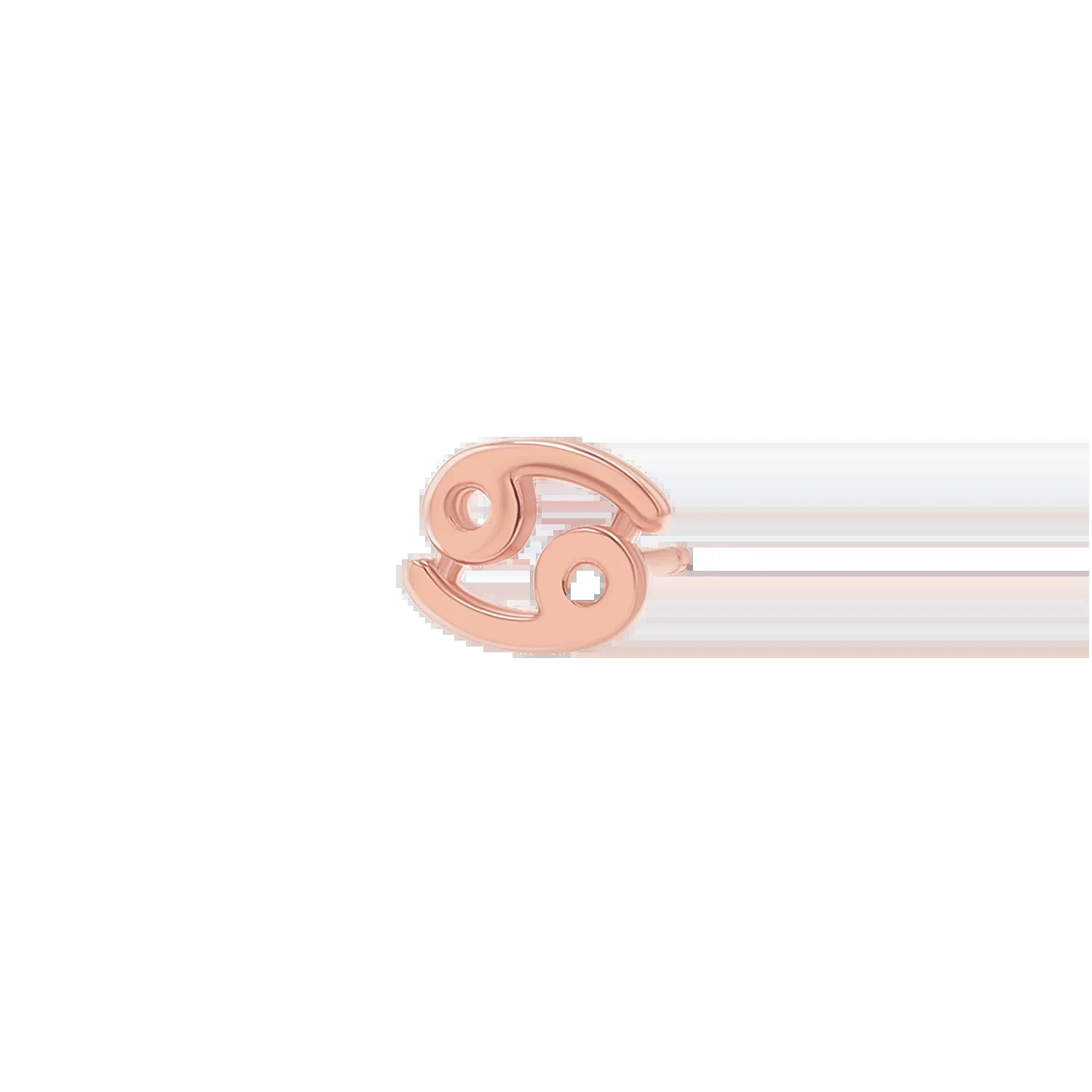 Zodiac Stud Earrings - My Store